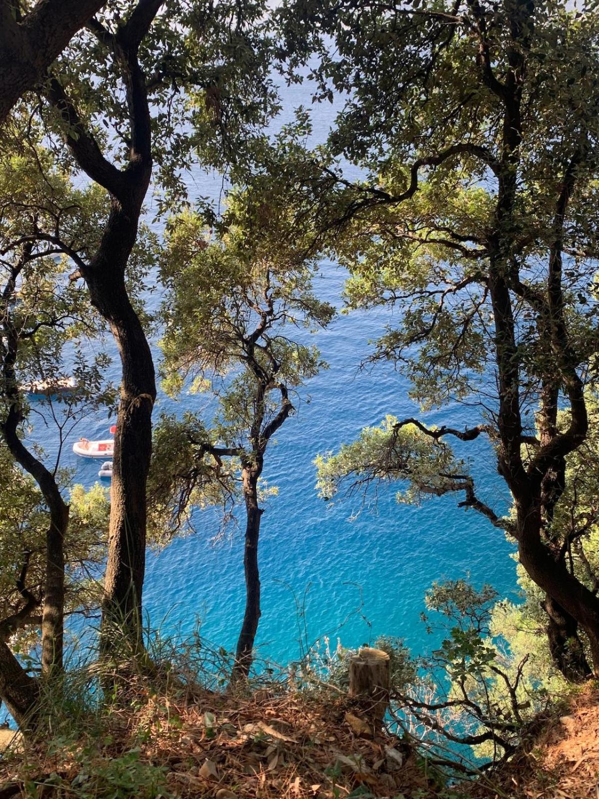 Sea View Apartment With Private Garden Camogli Exterior foto